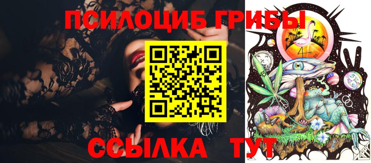 Псилоцибиновые грибы Psilocybine cubensis Балтийск